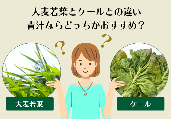 大麦若葉とケールの違い - 金の青汁® 純国産大麦若葉100%粉末【日本薬健】