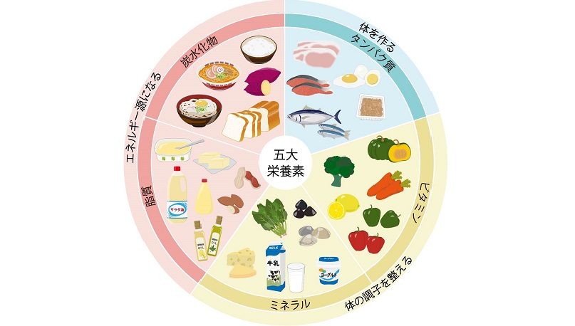 夏に意識したい栄養素は？