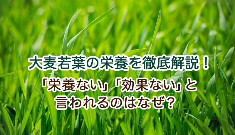 大麦若葉の栄養を徹底解説！「栄養ない」「効果ない」と言われるのはなぜ？